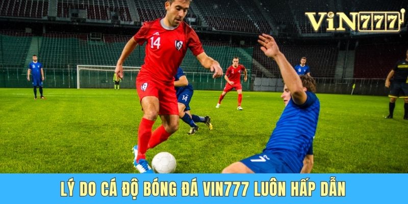 Cá Độ Bóng Đá Vin777 - Sân Chơi Với Kèo Thơm Dễ Thắng Lý do cá độ bóng đá Vin777 luôn hấp dẫn