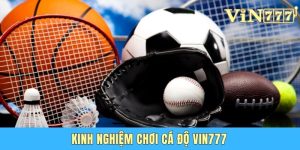 Kinh Nghiệm Chơi Cá Độ Vin 777 - Nhanh Thắng Và Tránh Lỗ